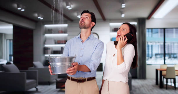 Trusted Water Damage Restoration in Des Plaines, IL | Fast, Reliable, and Ready to Assist You